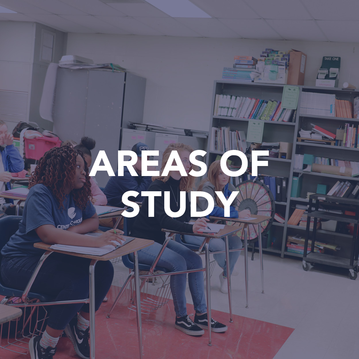 Areas of Study