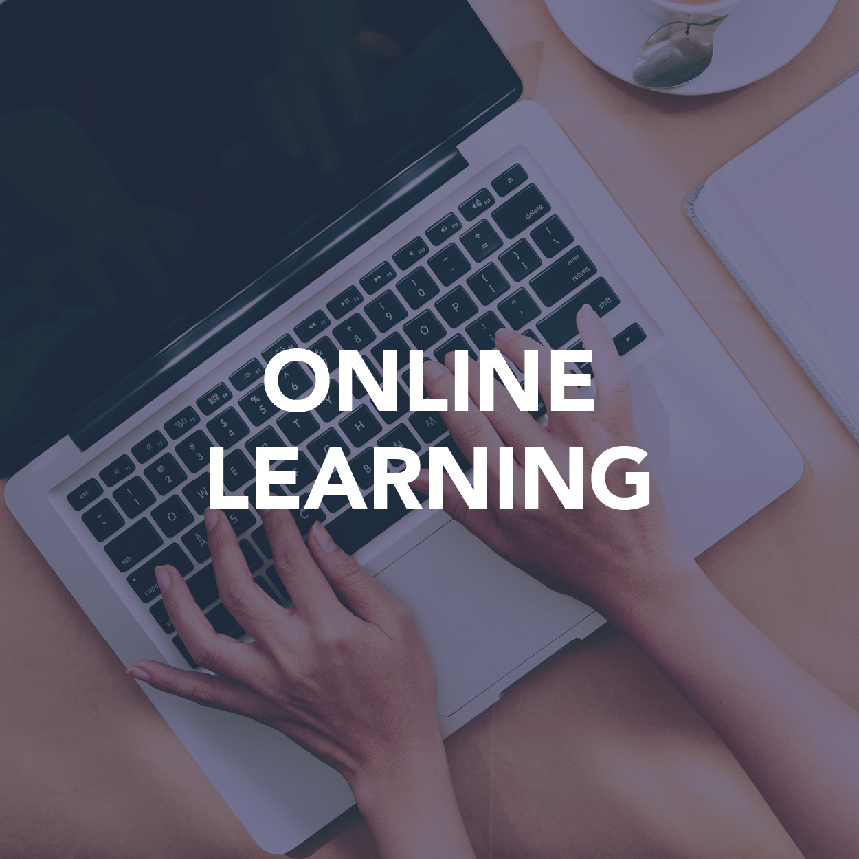 Online Learning