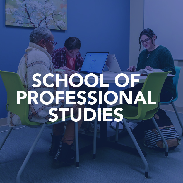 School Of Professional Studies